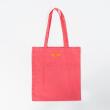 【予約商品】GAVIAL GARAGE /  colorful tote bag_猛禽類の爪