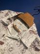 GLADHAND&Co. / GLAD POSTALS HAWAIIAN S/S SHIRTS