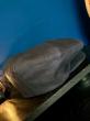 The Groovin High/1940 Anchor Cap/Casquette (BLACK)