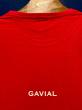 GAVIAL / s/s tee “aerosumashi ”