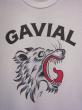 GAVIAL s/s tee “roar”