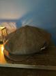 GAVIAL / casquette