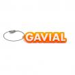 GAVIAL / acrylic key charm